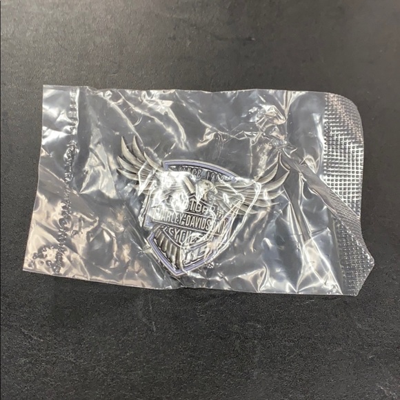 Harley-Davidson 115th Anniversary Collectable Pin - Picture 2 of 5